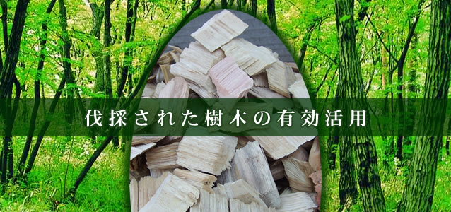 伐採された樹木の有効活用